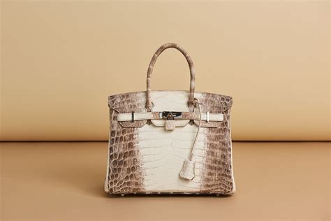 hermes birkin himalayan bag price|hermes himalayan birkin 25 price.